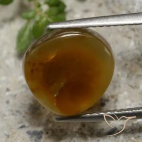 Agata di fuoco Multicolore naturale da 4.42 ct, Taglio a fantasia, Traslucido