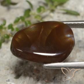 Agata di fuoco Multicolore naturale da 5.29 ct, Taglio a fantasia, Traslucido
