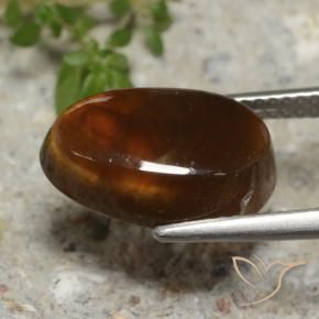 Agata di fuoco Multicolore naturale da 4.95 ct, Taglio a fantasia, Traslucido