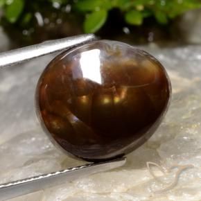 Agata di fuoco Multicolore naturale da 6.05 ct, Taglio a fantasia, Traslucido