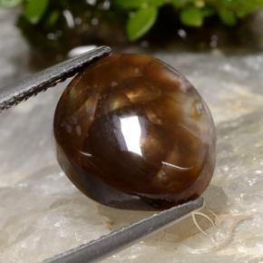 Agata di fuoco Multicolore naturale da 6.05 ct, Taglio a fantasia, Traslucido
