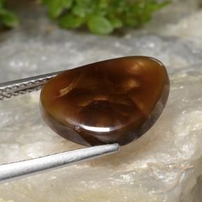 Agata di fuoco Multicolore naturale da 4.54 ct, Taglio a fantasia, Traslucido