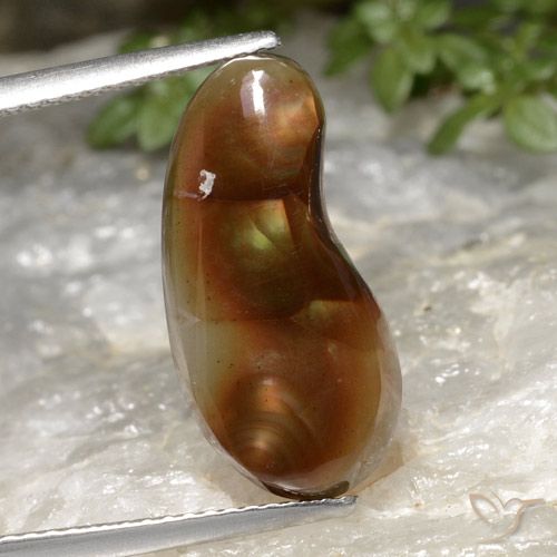 5.25ct Naturale Multicolore Agata di fuoco, Taglio a fantasia, Traslucido