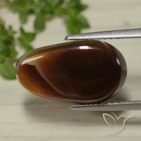 Agata di fuoco Multicolore naturale da 5.25 ct, Taglio a fantasia, Traslucido