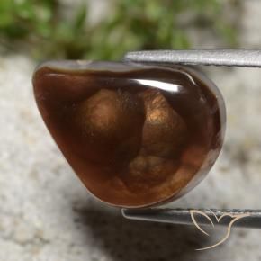 Agata di fuoco Multicolore naturale da 5.86 ct, Taglio a fantasia, Traslucido