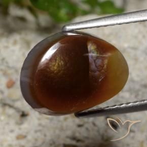 Agata di fuoco Multicolore naturale da 4.44 ct, Taglio a fantasia, Traslucido