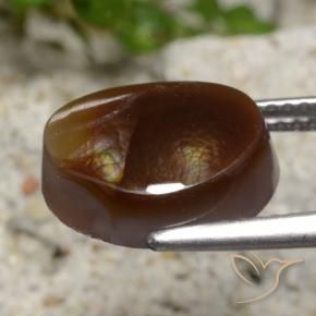 Agata di fuoco Multicolore naturale da 4.44 ct, Taglio a fantasia, Traslucido