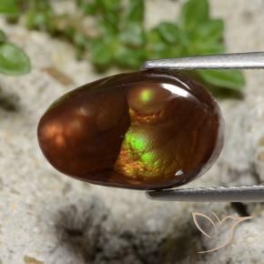 Agata di fuoco Multicolore naturale da 3.99 ct, Taglio a fantasia, Traslucido
