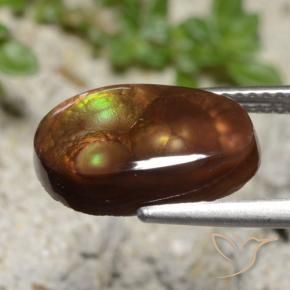 Agata di fuoco Multicolore naturale da 3.99 ct, Taglio a fantasia, Traslucido
