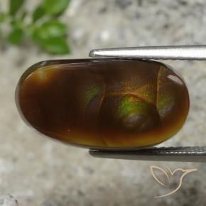 Agata di fuoco Multicolore naturale da 5.99 ct, Taglio a fantasia, Traslucido