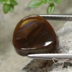 Agata di fuoco Multicolore naturale da 3.36 ct, Taglio a fantasia, Traslucido