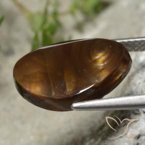 Agata di fuoco Multicolore naturale da 4.24 ct, Taglio a fantasia, Traslucido