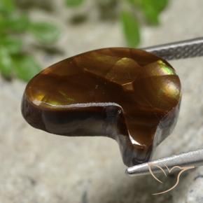 Agata di fuoco Multicolore naturale da 6.76 ct, Taglio a fantasia, Traslucido