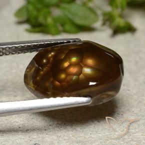 Agata di fuoco Multicolore naturale da 4.26 ct, Taglio a fantasia, Traslucido