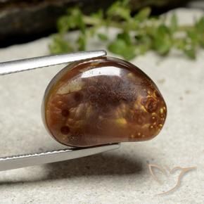 Agata di fuoco Multicolore naturale da 10.09 ct, Taglio a fantasia, Opaco