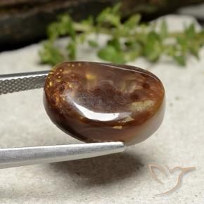 Agata di fuoco Multicolore naturale da 10.09 ct, Taglio a fantasia, Opaco
