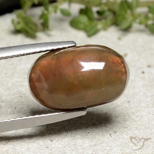 Agata di fuoco Multicolore naturale da 6.66 ct, Ovale, Opaco