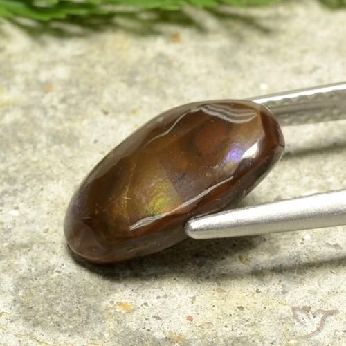 Agata di fuoco Multicolore naturale da 2.52 ct, Taglio a fantasia, Opaco
