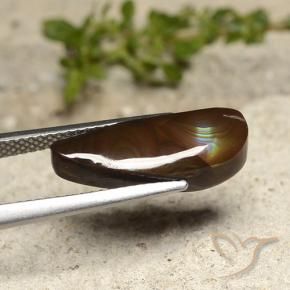 Agata di fuoco Multicolore naturale da 5.21 ct, Taglio a fantasia, Opaco