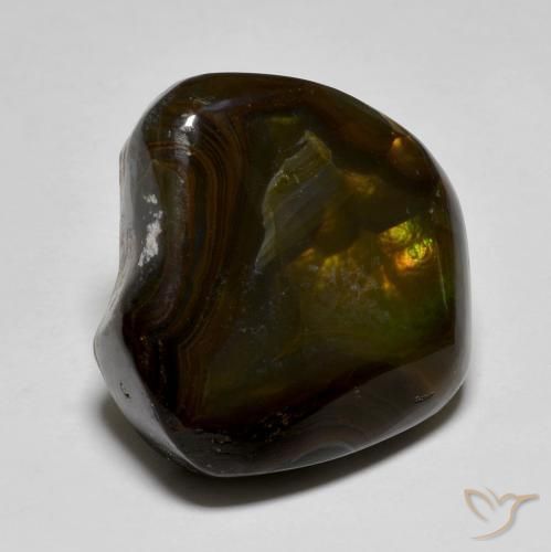 Agata di fuoco Multicolore naturale da 15.40 ct, Taglio a fantasia, Traslucido