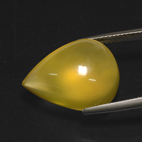 Opale di fuoco naturale giallo da 15,76 ct, trasparente, trasparente/traslucido