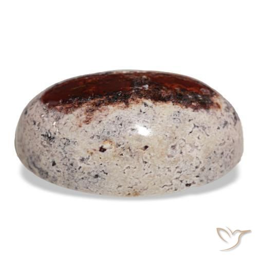 Opale di fuoco naturale multicolore da 27,35 ct, taglio ovale, opaco