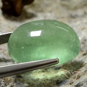 Fluorite Verde chiaro naturale da 27.33 ct, Ovale, Trasparente
