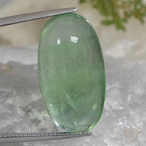 27.65ct Naturale Verde caldo Fluorite, Ovale, Trasparente
