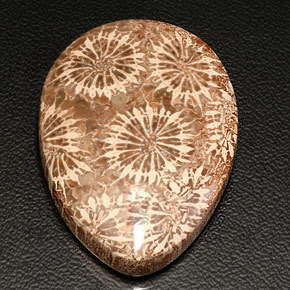 Corallo fossile naturale multicolore da 42,11 ct, taglio a pera, opaco