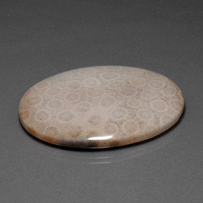 Corallo fossile naturale multicolore da 93,67 ct, taglio ovale, opaco