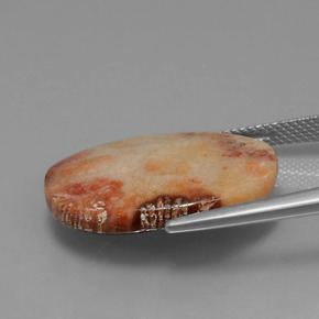 Corallo fossile Multicolore naturale da 15.17 ct, Taglio ovale, Opaco