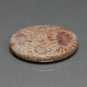Corallo fossile naturale multicolore da 15,93 ct, taglio ovale, opaco