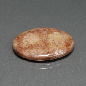Corallo fossile naturale multicolore da 14,77 ct, taglio ovale, opaco