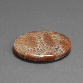 Corallo fossile Multicolore naturale da 16.75 ct, Taglio ovale, Opaco