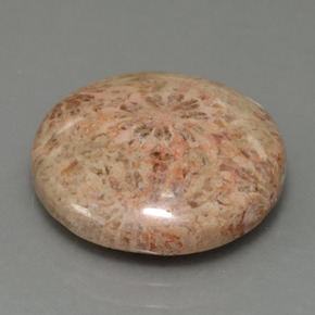 Corallo fossile Multicolore naturale da 10.23 ct, Taglio rotondo, Opaco
