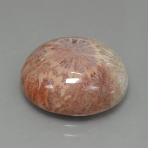Corallo fossile Multicolore naturale da 12.48 ct, Taglio rotondo, Opaco