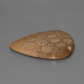 Corallo fossile Multicolore naturale da 53.96 ct, Forma a pera, Opaco