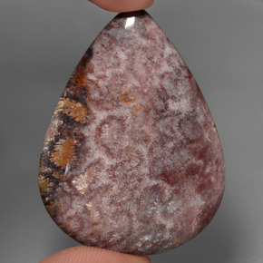 Corallo fossile naturale multicolore da 65,56 ct, taglio a pera, opaco