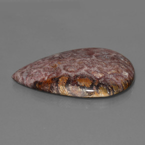 Corallo fossile naturale multicolore da 65,56 ct, taglio a pera, opaco