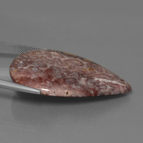 Corallo fossile naturale multicolore da 65,56 ct, taglio a pera, opaco