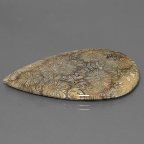 Corallo fossile Multicolore naturale da 70.58 ct, Forma a pera, Opaco