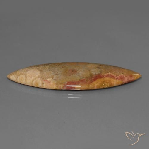 Corallo fossile Multicolore naturale da 56.57 ct, Taglio marquise, Opaco