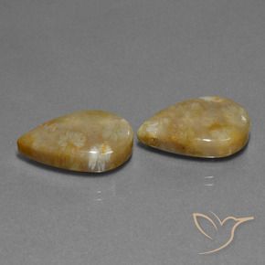 Gemme di Corallo fossile Multicolore naturale da 21.95 ct, Forma a pera, Opaco