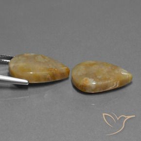 Gemme di Corallo fossile Multicolore naturale da 21.95 ct, Forma a pera, Opaco