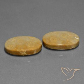 Gemme di Corallo fossile Multicolore naturale da 32.11 ct, Ovale, Opaco