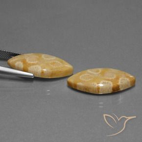 Gemme di Corallo fossile Multicolore naturale da 20.04 ct, Taglio marquise, Opaco