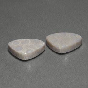 Gemme di Corallo fossile Multicolore naturale da  ct, Taglio trillion, Opaco