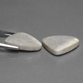 Corallo fossile naturale multicolore da 21,39 ct, trillion, opaco