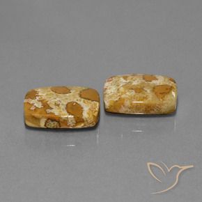 Gemme di Corallo fossile Multicolore naturale da 19.08 ct, Cuscino, Opaco