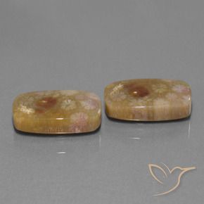Gemme di Corallo fossile Multicolore naturale da 30.11 ct, Cuscino, Opaco